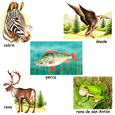 Vertebrados.