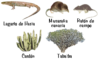 Vegetación y fauna representativas del Parque.
