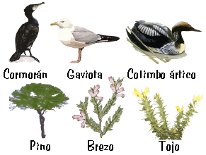 Vegetación y fauna representativas del Parque.
