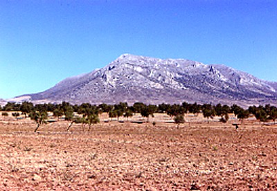 Altiplano de Baza (Granada, Andalucía).