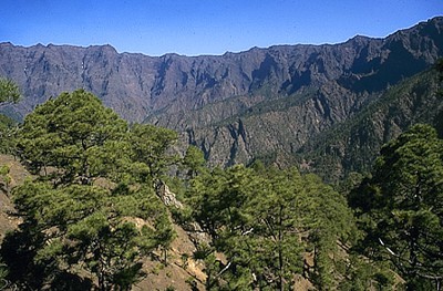 Parque Nacional de la Caldera de Taburiente.