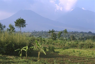 Campos próximos a los montes Virunga, Ruanda.