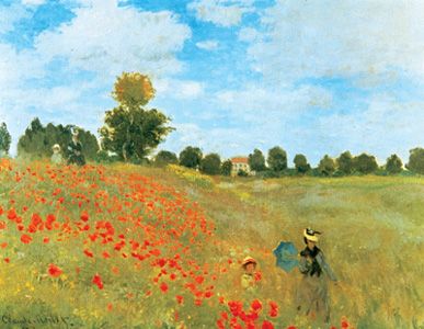 Campo de amapolas.