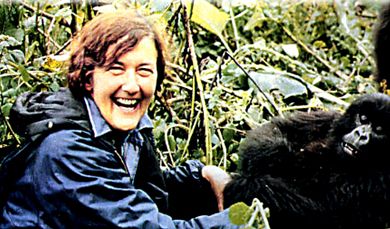Dian Fossey.
