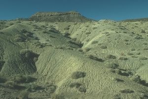 Ecosistema de desierto.
