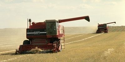 Recolecci&oacute;n de trigo.