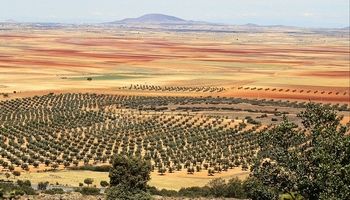 La Mancha (Ciudad ...