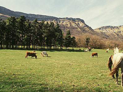 Pradera.