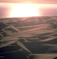 Campo de dunas, la típica formación de los desiertos.