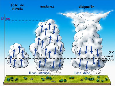 Fases en la formación de una tormenta.